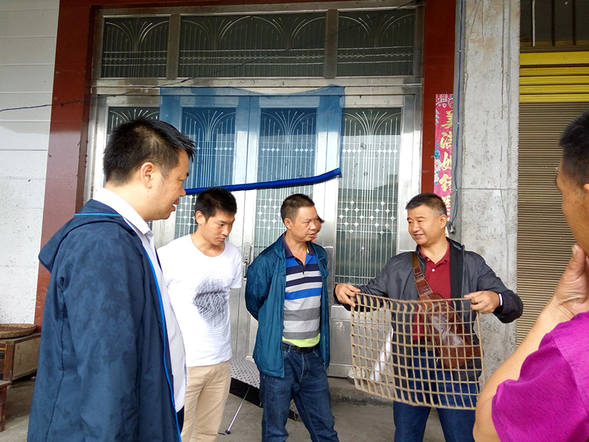 現(xiàn)場了解蠶桑生產(chǎn)情況A.jpg
