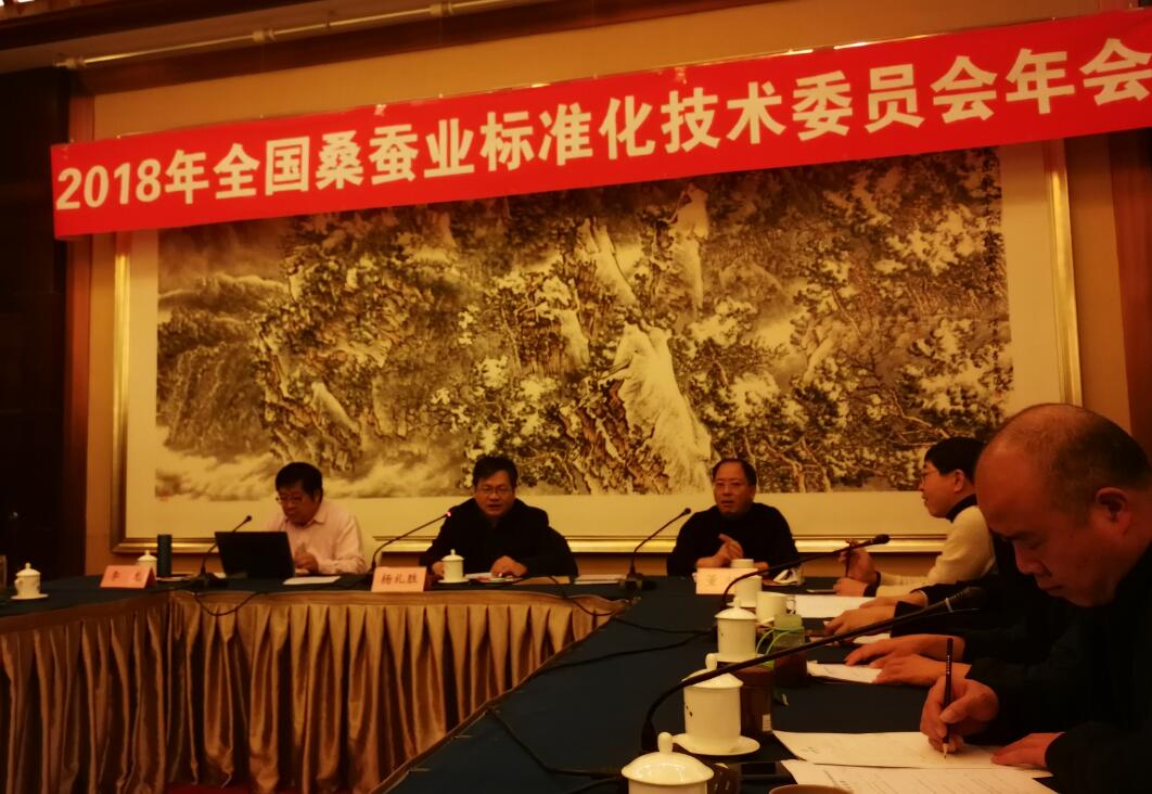 楊禮勝副司長(zhǎng)講話.jpg