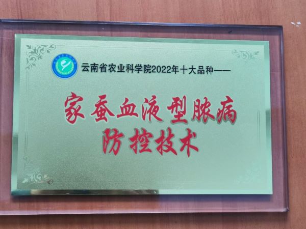 成果入選獎牌1.jpg