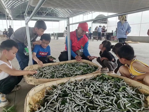 參觀蠶桑科普展示區(qū).jpg