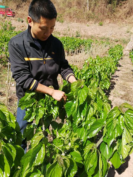 李鎮(zhèn)剛.jpg