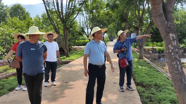 參觀桑樹資源圃.jpg
