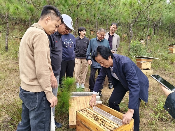檢查示范蜂場.jpg
