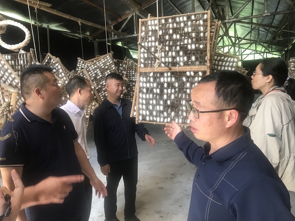實地走訪調(diào)研.jpg