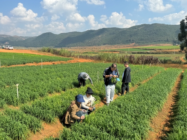 田間病蟲害調(diào)查與采樣.jpg