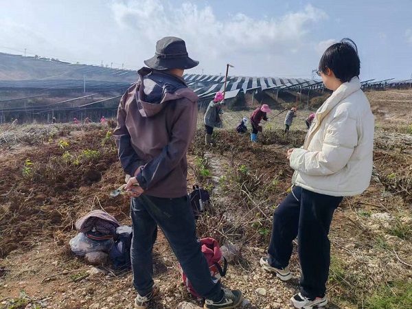 1冬季桑園冬耕及施肥現(xiàn)場指導.jpg