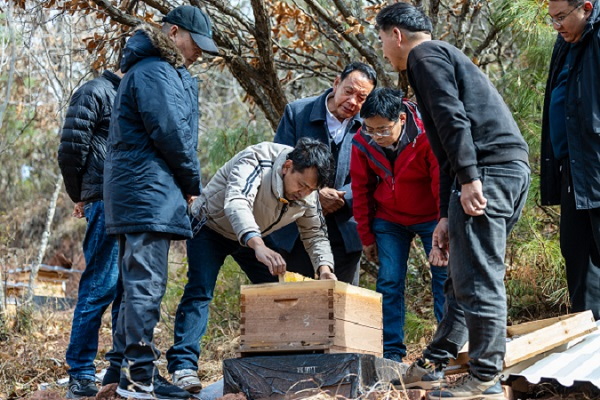 示范蜂場技術(shù)指導1.jpg
