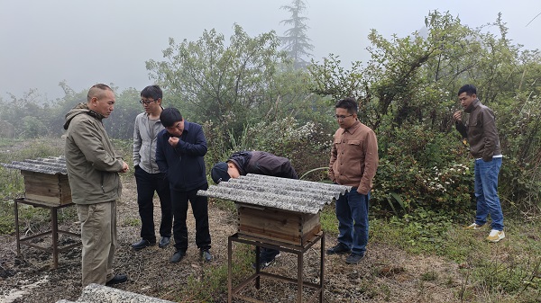 2綠春縣蜂產(chǎn)業(yè)協(xié)會調(diào)研指導(dǎo).jpg